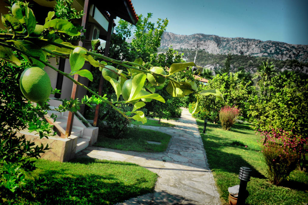 Nerissa Hotel Çıralı Zewnętrze zdjęcie