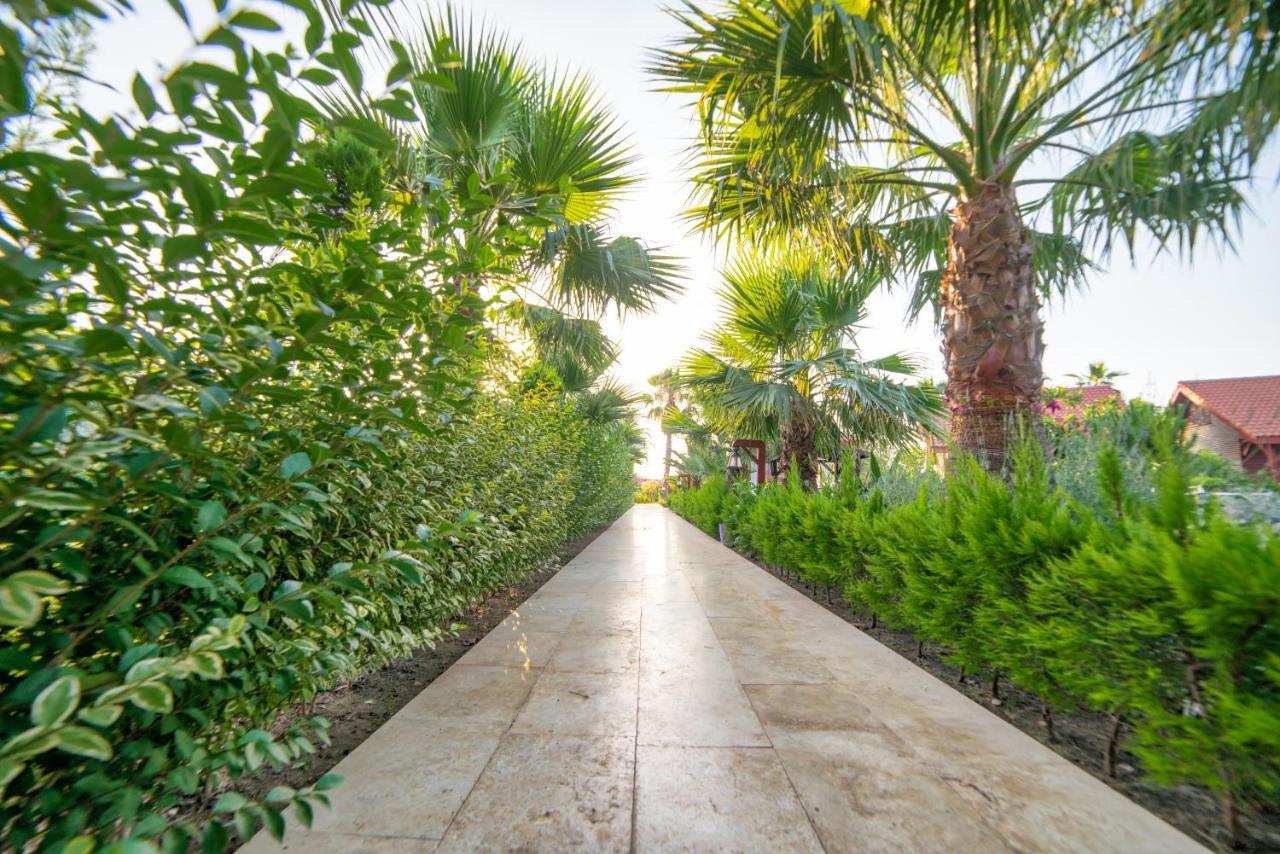 Nerissa Hotel Çıralı Zewnętrze zdjęcie